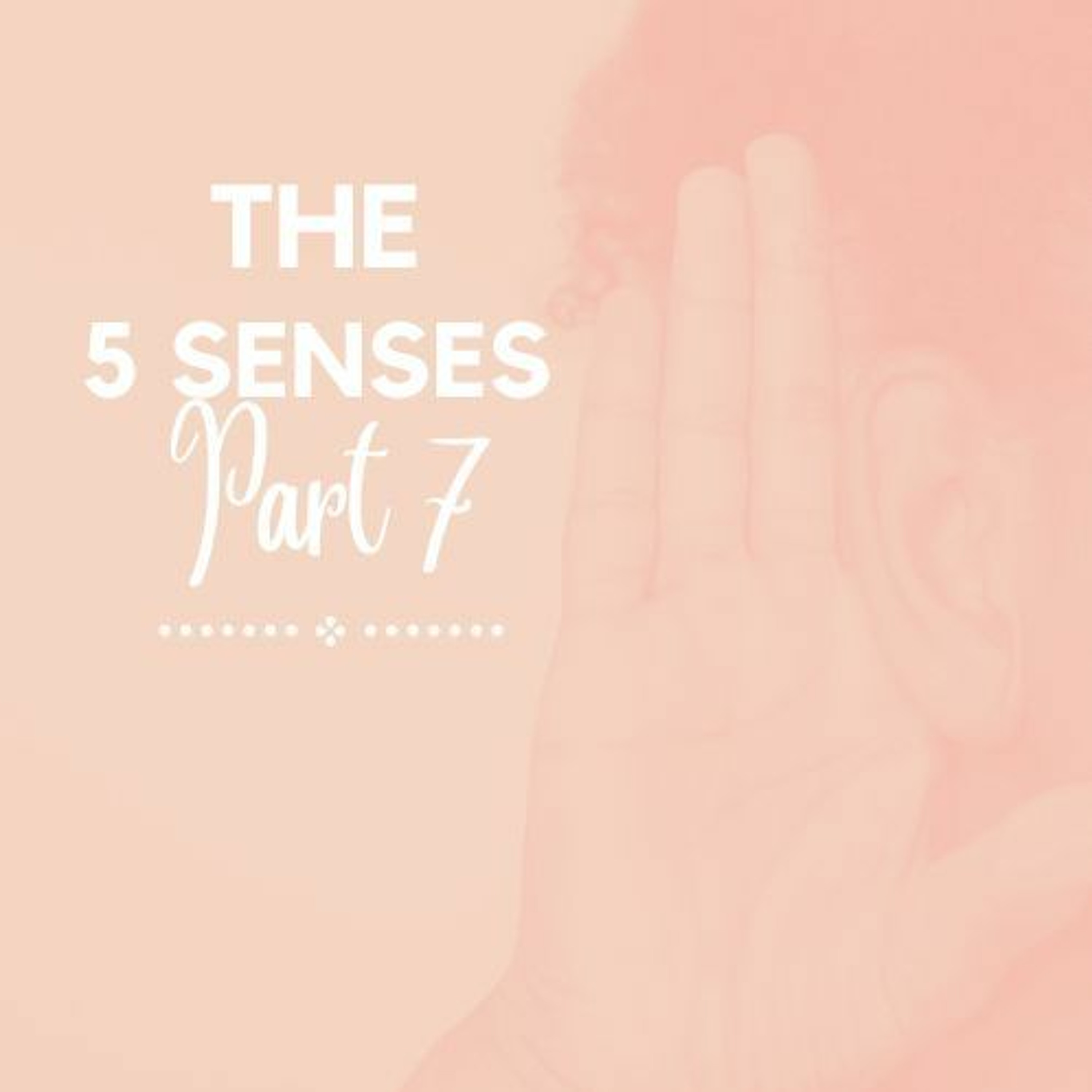 Touch - The 5 Senses (PT. 7) // Pas Subash Cherian episode artwork