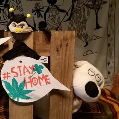 InsideMyQuarantine 2