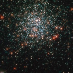 Psychotria Viridis (270) premaster