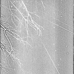 Listening Conditions V (2023) - Ferdinand Schwarz & AKSE