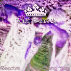 ⋆ D&G ⋆