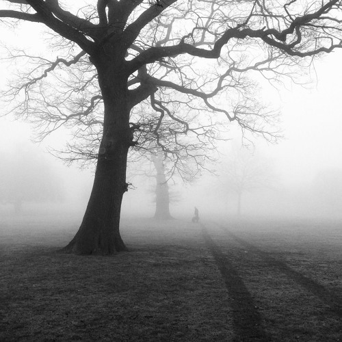 Mist Singing Softly (2023) Anthology CD4 Track 14