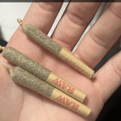 2016 XXL Torta Freestyle