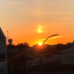 Seeking Harmonic Vibes 2025