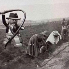 Reptile Culture (Black Lives Matter Diss)