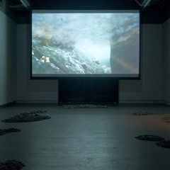 Episode 120: Hihi Aho with Tia Barrett