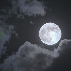 CITY (prod. yvngonce_)