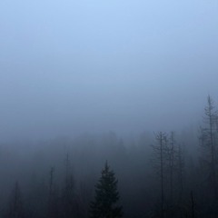 Melodic State Of Nothing #34 I Melodic Hibernation