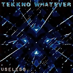 USELESS : Tekkno Whatever (preview)