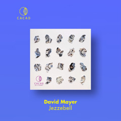 David Mayer - Jezzebell