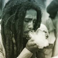 Cashfrmda4 - rasta