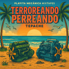Terroreando Perreando (Playita Mecánica Mixtapes)