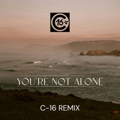 RY X - You're Not Alone Remix (C-16 Remix)