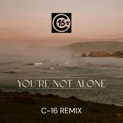 RY X - You're Not Alone Remix (C-16 Remix)