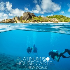 Platinum House Cartel - A New World