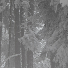 This frosty world [disquiet0680]