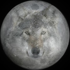 Wolf Moon