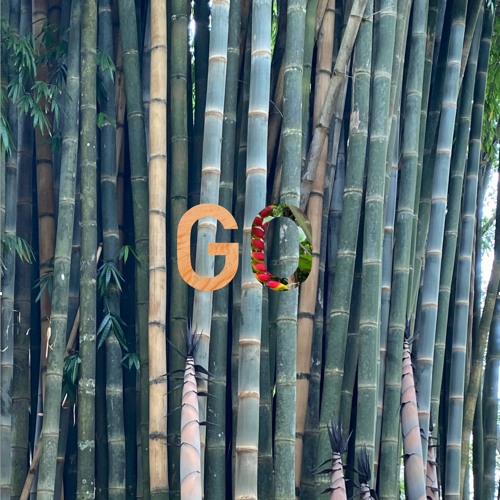 GO 484