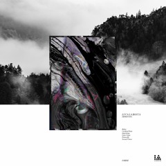 IAR292 - Luca La Rocca - Imprinting