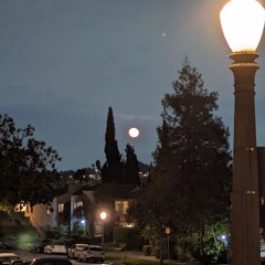 Night Walk