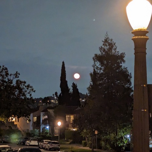 Night Walk