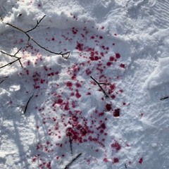 새하얗게 with.uruma