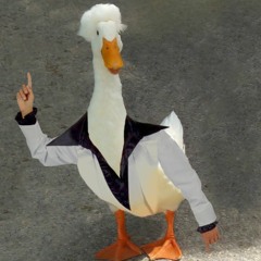 Groovy Goose