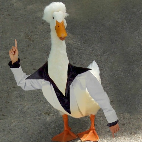 Groovy Goose