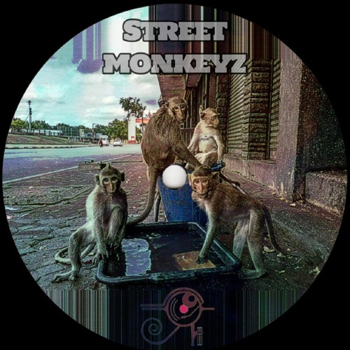 PREMIERE - RAzek - Street  Monkeyz