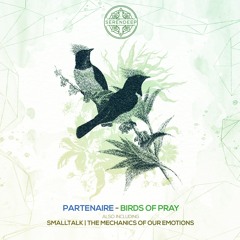 Partenaire - Birds of Prey (Original Mix) [Serendeep]