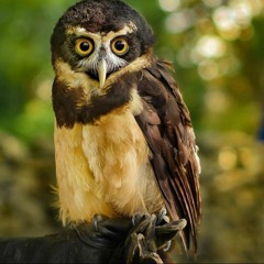 ꙰⃣   ✲⃣   ✃⃣   ✂⃣   ✁⃣   ✄⃣   ☢⃣