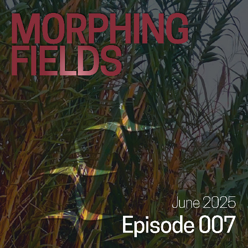 Morphing Fields Episode 007