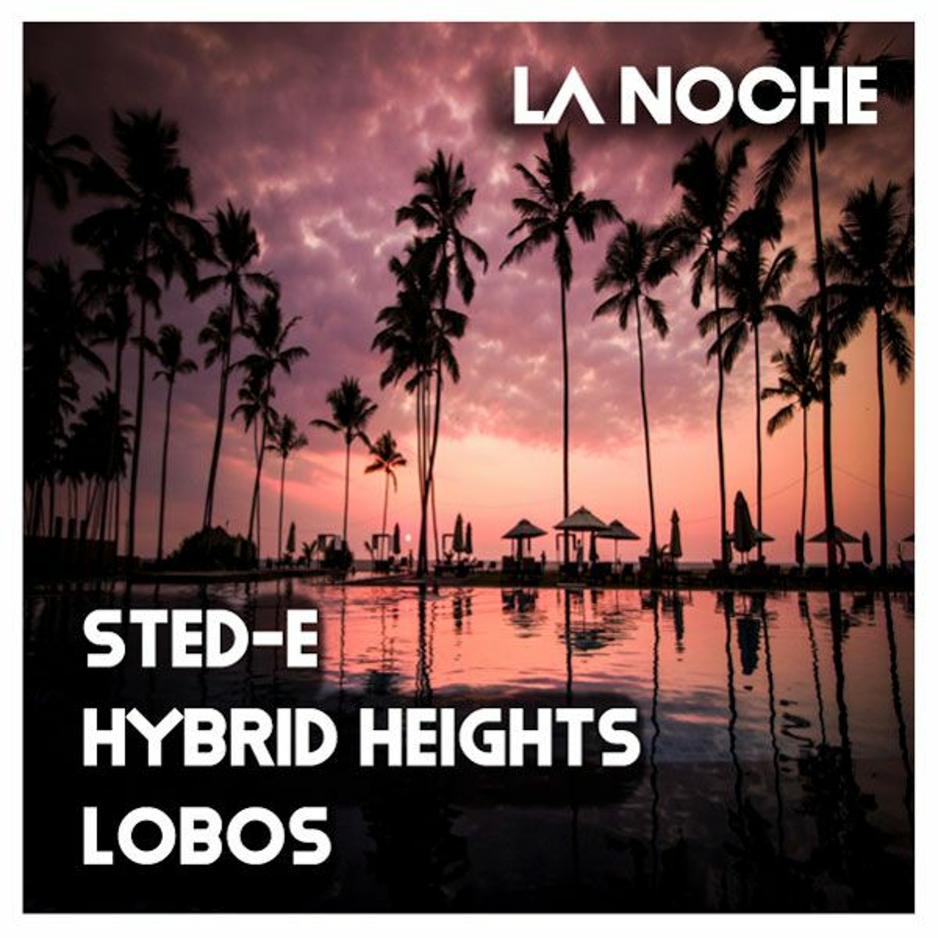 Sted-E & Hybrid Heights, Lobos - La Noche (Club Mix) episode artwork