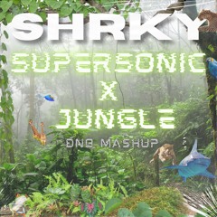 Supersonic x Jungle -  Fred Again... (Metrik Remix) vs. Friction - SHRKY's DnB Mashup