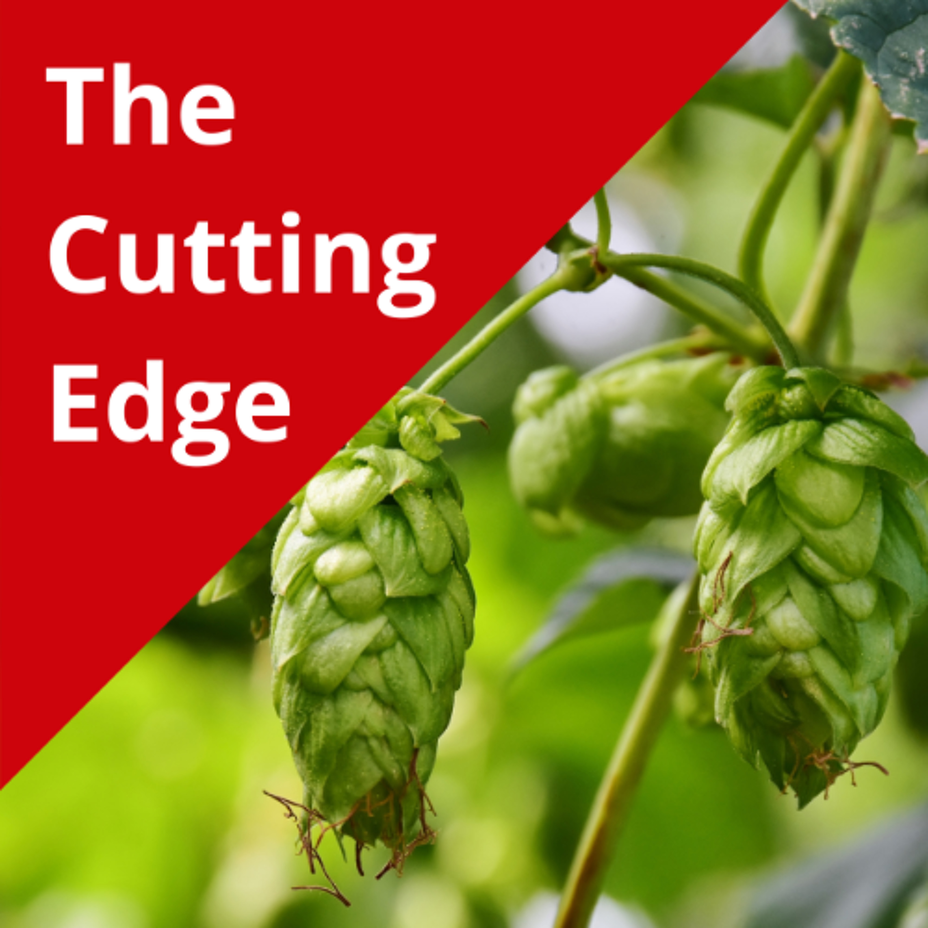 Field Notes: Hops, June 24 episode artwork