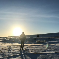 The Ice That Melts(hypnotic remix)