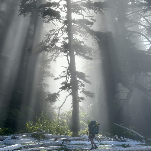 028 | An Introduction to Nothingness