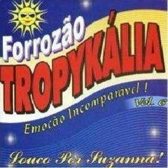 Forrozão Tropikália Vol 6 ( CD Completo)