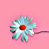 Stream 0bviouxx Pola Obvi Music Listen To Songs Albums Playlists For Free On Soundcloud