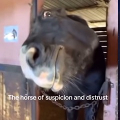 Suspicion & distrust