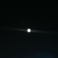 긴 밤 cover