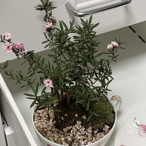 Oh Wonder - Landslide speed up🤍💐