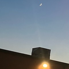 DSN