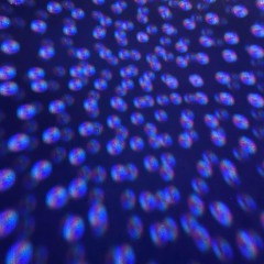 Gel