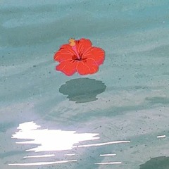 EVELXN - "Lofi Playlists" (Prod. RacerBeats)