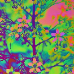 Untitled2