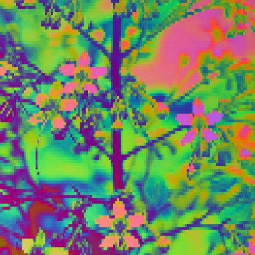 Untitled2