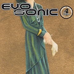 Cybordelics feat. James Davis - Adventures of Dama (Bodo Felusch-Gimme a Beat Mix)