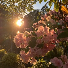 Cargo Shipment @sleepyzen @mlb