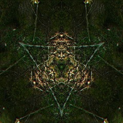 Muziaa - karia psytrance festival 2019 preset (darkforest) Dj Set  150 - 152 Bpm